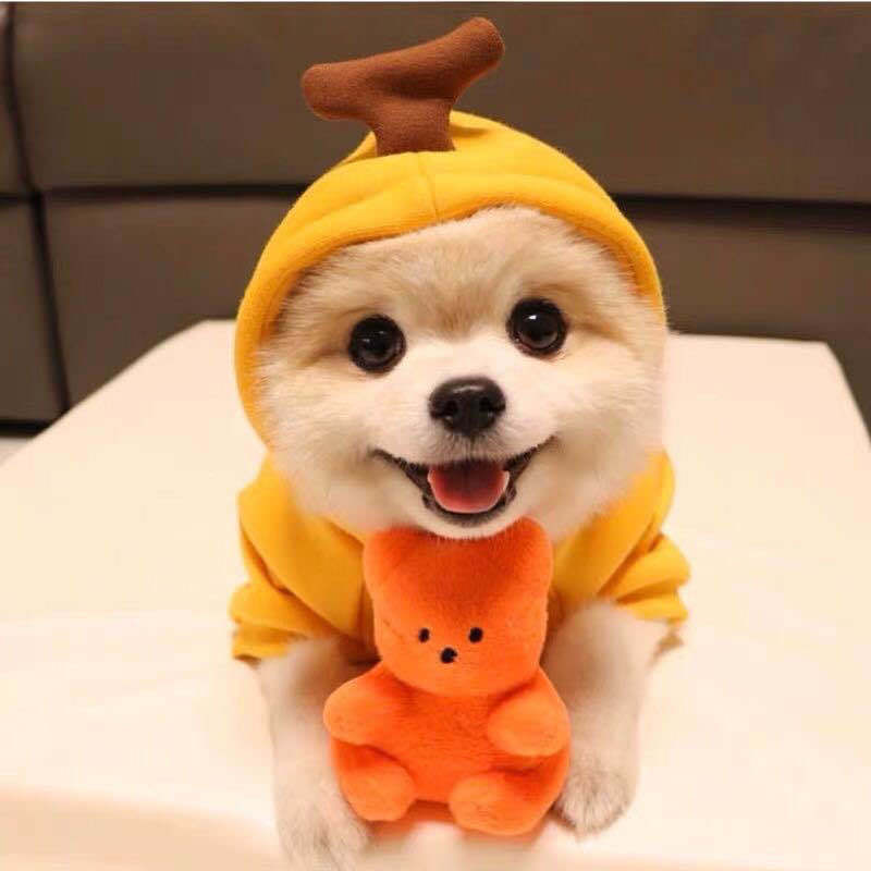Cute Fruit Dog Clothes with Winter Warm Fleece