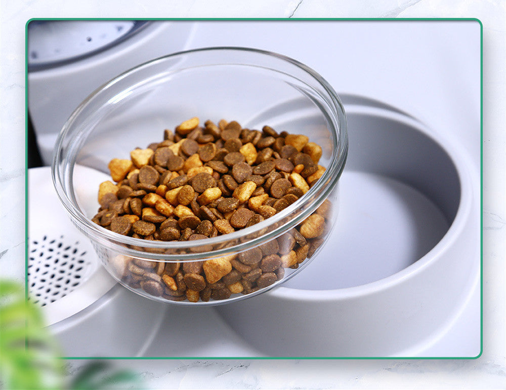 Automatic Water Dispenser and Feeder For Pets