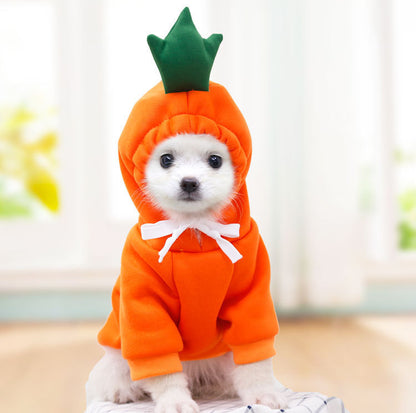 Cute Fruit Dog Clothes with Winter Warm Fleece