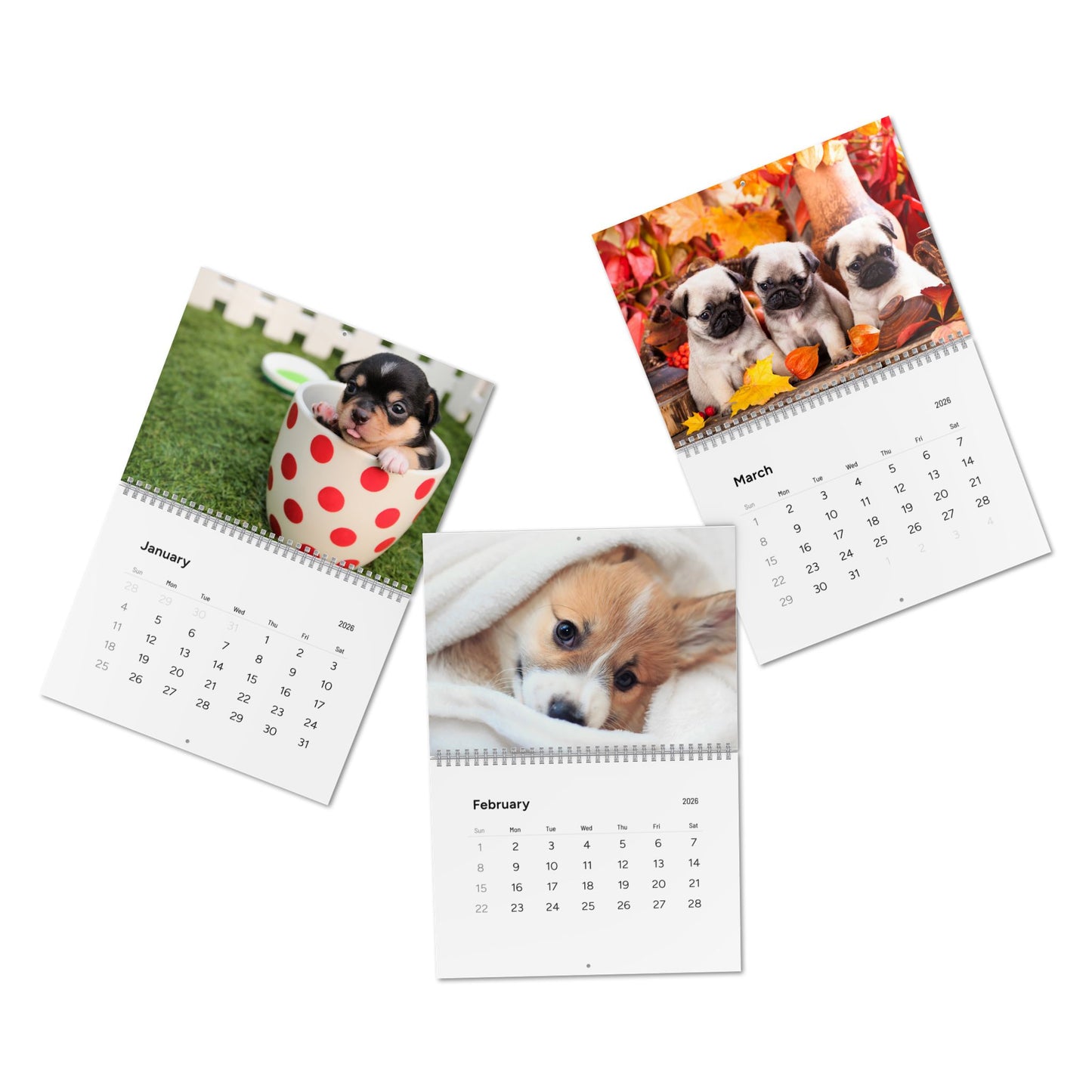 2026 Cute Puppy Wall Calendar (15% Donated to an Animal Charity)