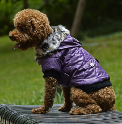 pet clothes autumn and winter fur collar coat