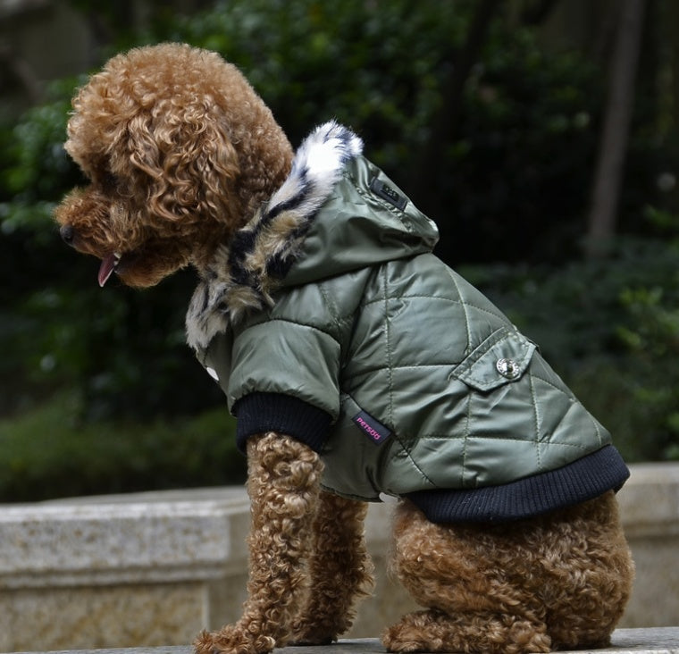 pet clothes autumn and winter fur collar coat