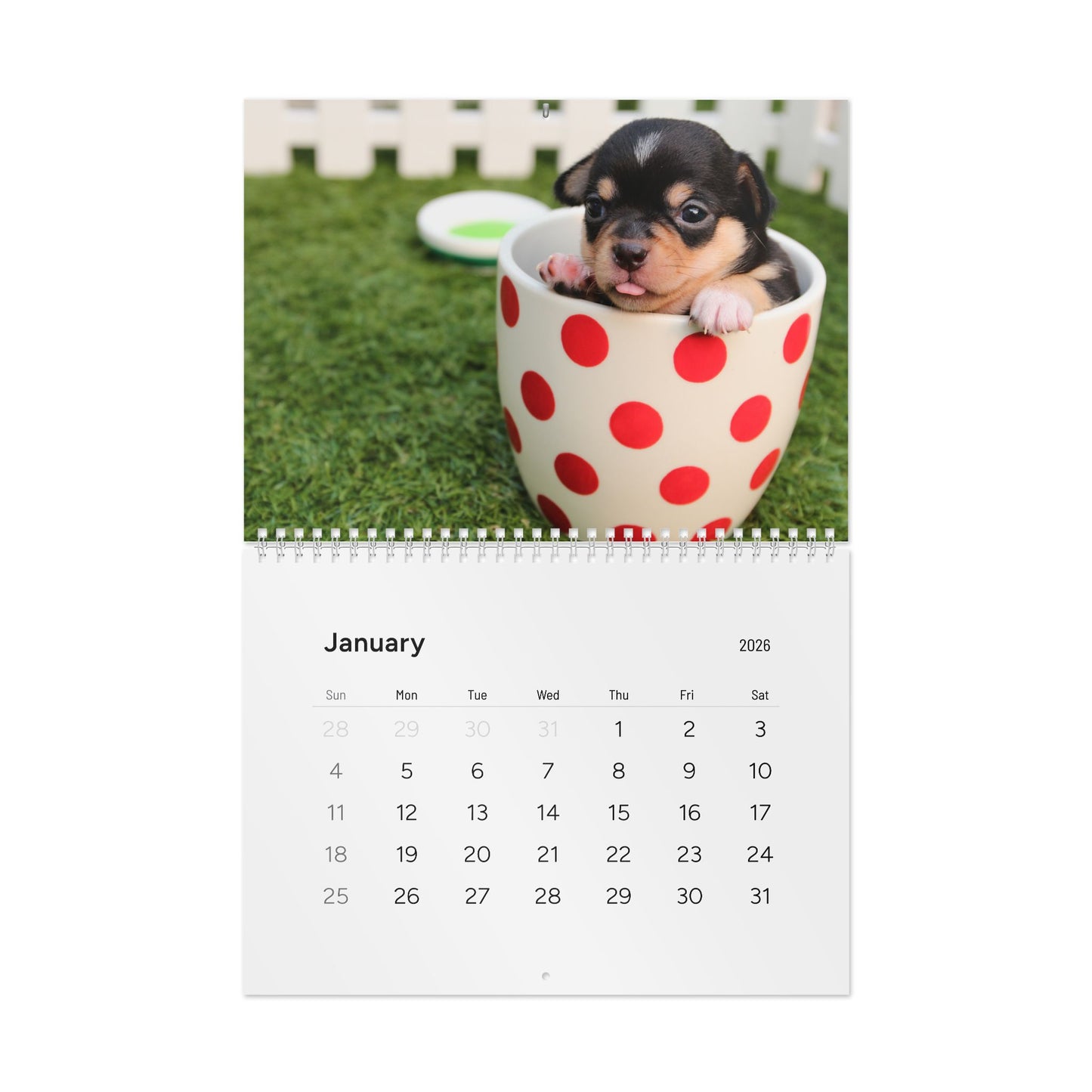 2026 Cute Puppy Wall Calendar (15% Donated to an Animal Charity)
