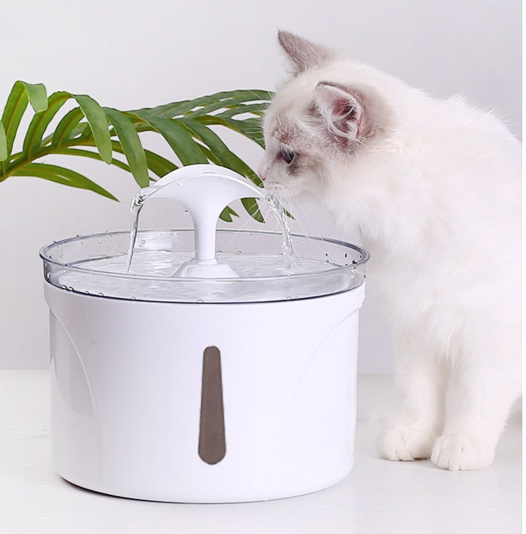 Pet  Automatic Circulating Filter Water Dispenser