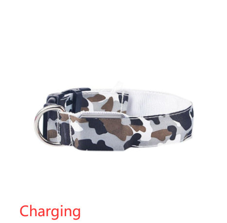 Camouflage pet supplies luminous dog collar